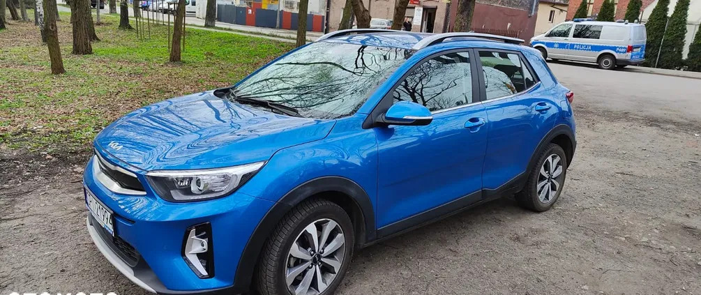 kia stonic śląskie Kia Stonic cena 79900 przebieg: 12600, rok produkcji 2022 z Przedecz